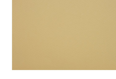 Бумага цветная для пастели двусторонняя Murano, 500*650 мм, 160 г/м2, мед