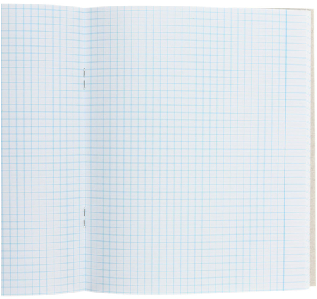 Тетрадь общая А5, 48 л. на скобе «Божья коровка», 165*200 мм, клетка