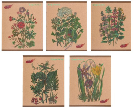 Тетрадь общая А5, 48 л. на скобе DIY Collection. «Изысканный гербарий», 162*200 мм, клетка, ассорти Тетрадь общая А5, 48 л. на скобе DIY Collection. «Изысканный гербарий», 162*200 мм, клетка, ассорти