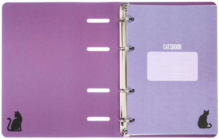 Тетрадь общая А5, 100 л. на кольцах Meshu, 160*215 мм, клетка, Catsday