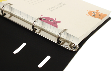 Тетрадь общая А5, 120 л. на кольцах BG, 160*215 мм, клетка, «Котики»