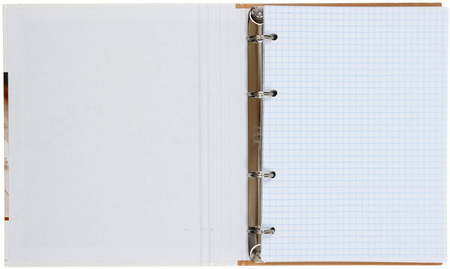 Тетрадь общая А5, 120 л. на кольцах ArtSpace «Стиль», 170*215 мм, клетка, Hygge Things