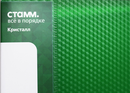 Папка пластиковая на 2-х кольцах «Стамм. Кристалл», толщина пластика 0,7 мм, зеленая Папка пластиковая на 2-х кольцах «Стамм. Кристалл», толщина пластика 0,7 мм, зеленая