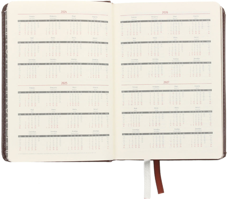 Ежедневник датированный на 2024 год Berlingo Silver Pristine (А6), 115*160 мм, 184 л., коричневый