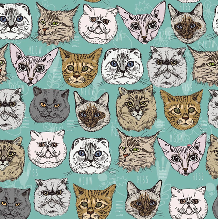 Чехол-накидка на автокресло универсальный Joy Textile, 45*62 см, «Кошачьи советы» Чехол-накидка на автокресло универсальный Joy Textile, 45*62 см, «Кошачьи советы»