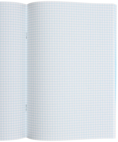 Книга учета «Борисовская типография», 195*280 мм, клетка, 100 л., бордо