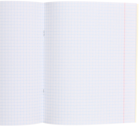 Тетрадь общая А5, 48 л. на скобе «Зеленая серия», 163*200 мм, клетка, ассорти