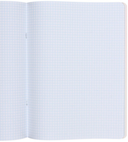 Тетрадь общая А4, 48 л. на скобе «Неоновый дуэт», 200*275 мм, клетка, «Зеленый и розовый»