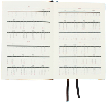 Ежедневник датированный на 2026 год Delucci, 145*215 мм, 184 л., черный Ежедневник датированный на 2026 год Delucci, 145*215 мм, 184 л., черный