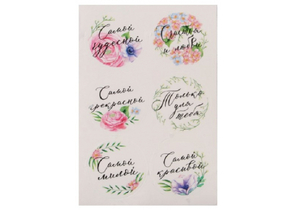 Наклейки пластиковые Sima-Land, 9,3×16 см, «Самой чудесной» (для букетов) Наклейки пластиковые Sima-Land, 9,3×16 см, «Самой чудесной» (для букетов)