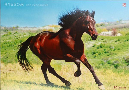 Альбом для рисования А4 «Благородный конь», 20 л.