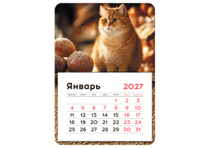 Календарь отрывной на магните на 2027 год BG, 130×180 мм, «Кот»