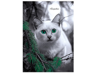 Ежедневник недатированный А5 «Зеленоглазый кот» Ежедневник недатированный А5 «Зеленоглазый кот»