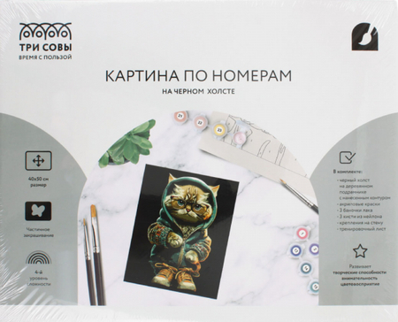 Картина по номерам на черном холсте «Три совы», 40*50 см, «Стильный кот»