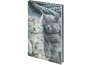Книжка записная Staff А5 «Котики», 135×205 мм, 80 л., клетка