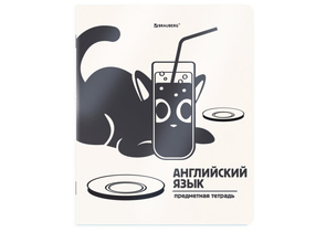Тетрадь предметная А5, 48 л. на скобе «Кот-непоседа», 165×205 мм, клетка, «Английский язык» Тетрадь предметная А5, 48 л. на скобе «Кот-непоседа», 165×205 мм, клетка, «Английский язык»