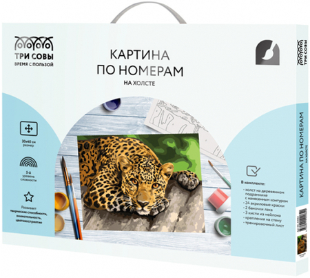 Картина по номерам на холсте «Три совы», 30*40 см, «Загадочный взгляд»