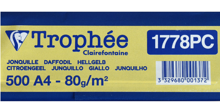 Бумага офисная цветная Trophee Pastel, А4 (210*297 мм), 80 г/м2, 500 л., лимонно-желтая Бумага офисная цветная Trophee Pastel, А4 (210*297 мм), 80 г/м2, 500 л., лимонно-желтая
