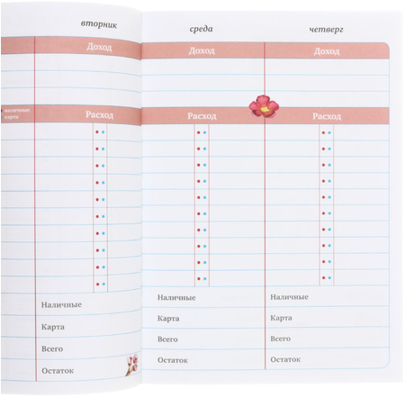 Книжка записная «Мои доходы и расходы», 150*210 мм, 88 л., «Большой CashBook»