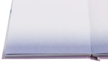 Скетчбук-блокнот BG (А6), 110*150 мм, 80 л., «Пушистый художник»
