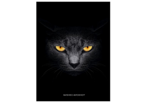 Книжка записная «Бизнес-блокнот. Кот с желтыми глазами», 173×225 мм, 160 л., клетка