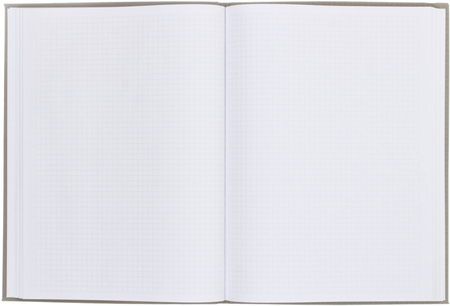 Книжка записная «Бизнес-блокнот» Business (А4), 210*285 мм, 80 л., клетка, Square