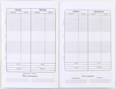 Книжка записная для планирования финансов Cashbook, 100*140 мм, 68 л., «Кот»