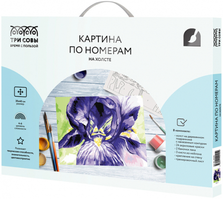 Картина по номерам на холсте «Три совы», 30*40 см, «Ирис»