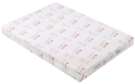 Бумага офисная Xerox Colotech+ Silk coated, SRА3 (450*320 мм), 170 г/м2, 250 л.