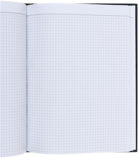 Книга учета «Полиграфкомбинат», 208*283 мм, 96 л., клетка, серо-голубая Книга учета «Полиграфкомбинат», 208*283 мм, 96 л., клетка, серо-голубая