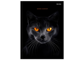Книжка записная «Бизнес-блокнот. Черная кошка-2», 174×223 мм, 80 л., клетка