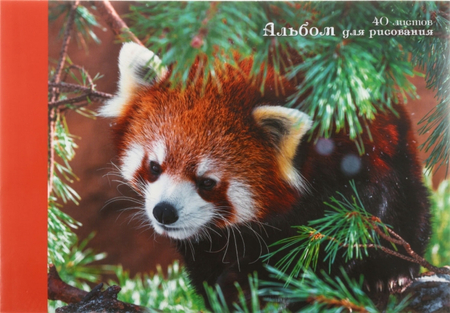 Альбом для рисования А4 «Прятки в елках», 40 л.