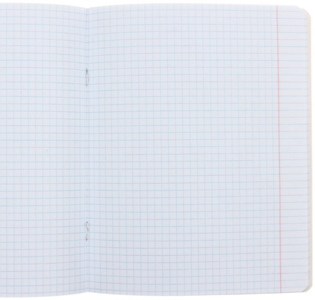 Тетрадь предметная А5, 48 л. на скобе «Жиза кота», 162*203 мм, клетка, «Обществознание»