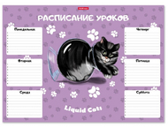 Расписание уроков ErichKrause А3 Расписание уроков ErichKrause А3