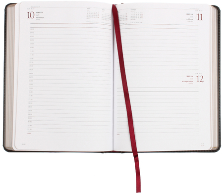 Ежедневник датированный на 2026 год Sidney Nebraska, 145*205 мм, 168 л., черный