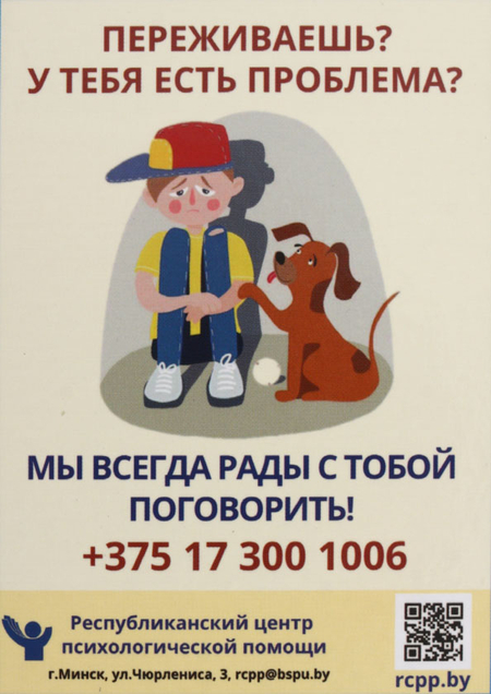 Дневник школьный «Брестская Типография», 44 л., для 5-11 классов (на русском языке), «вид 1 - для мальчика»