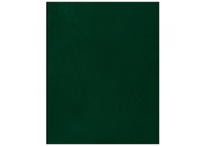 Тетрадь общая А4, 96 л. на скобе BG, 200×270 мм, клетка, зеленая