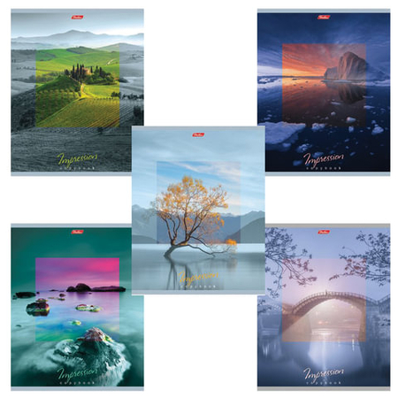 Тетрадь общая А5, 80 л. на скобе Hatber Impressions, 163*202 мм, клетка, ассорти Тетрадь общая А5, 80 л. на скобе Hatber Impressions, 163*202 мм, клетка, ассорти