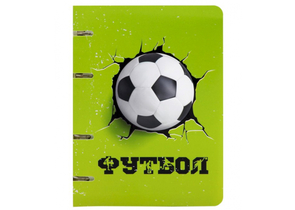 Тетрадь общая А5, 80 л. на кольцах «ПандаРог», 160×215 мм, клетка, «Футбол 3D»