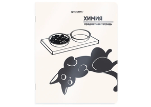 Тетрадь предметная А5, 48 л. на скобе «Кот-непоседа», 165×205 мм, клетка, «Химия» Тетрадь предметная А5, 48 л. на скобе «Кот-непоседа», 165×205 мм, клетка, «Химия»