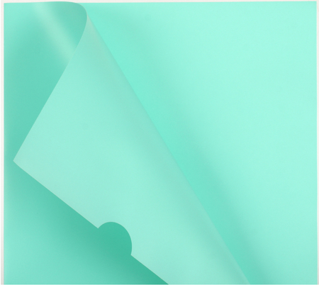 Папка-уголок пластиковая «Бюрократ Pastel» А4, толщина пластика 0,18 мм, мятная Папка-уголок пластиковая «Бюрократ Pastel» А4, толщина пластика 0,18 мм, мятная