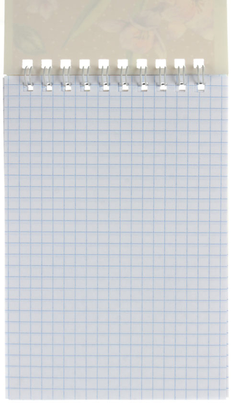 Блокнот на гребне BG А6, 100*145 мм, 40 л., клетка, Flora&Craft, ассорти