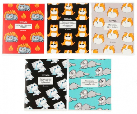Тетрадь общая А5, 48 л. на скобе «Котики приколы», 160*200 мм, клетка, ассорти (белизна бумаги 96%) Тетрадь общая А5, 48 л. на скобе «Котики приколы», 160*200 мм, клетка, ассорти (белизна бумаги 96%)