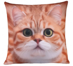 Игрушка-подушка мягкая, «Кот», 23×23 см