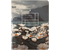 Тетрадь общая А5, 120 л. на кольцах Lorex, 160*215 мм, клетка, Summertime Sadness