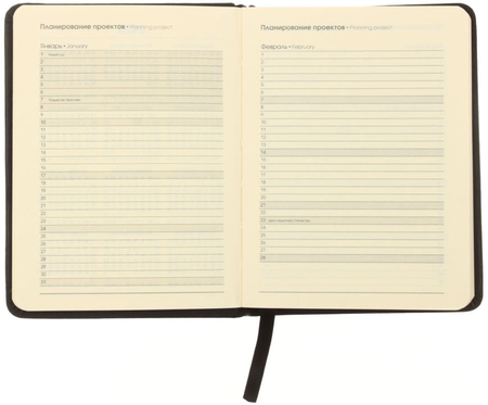 Ежедневник датированный на 2021 год Paragraph (А6), 110*145 мм, 176 л., черный
