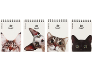 Блокнот на гребне ErichKrause (А6)