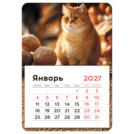 Календарь отрывной на магните на 2027 год BG, 130*180 мм, «Кот» Календарь отрывной на магните на 2027 год BG, 130*180 мм, «Кот»