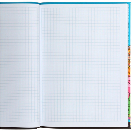 Тетрадь-блокнот Bourgeois для записей, 145*200 мм, 80 л., клетка, «17119-17121, 17214», ассорти