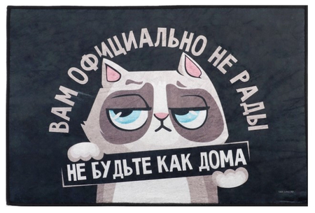 Коврик придверный полиэстровый Sima-Land, 40*60 см, «Кот»